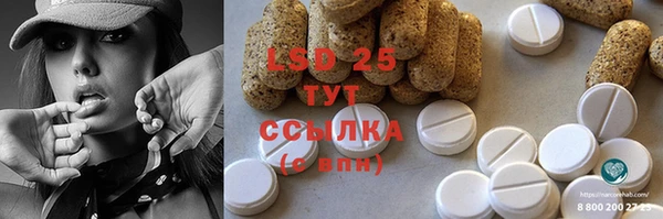 ECSTASY Алзамай