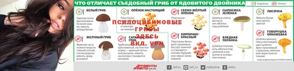 ПСИЛОЦИБИНОВЫЕ ГРИБЫ Алексеевка