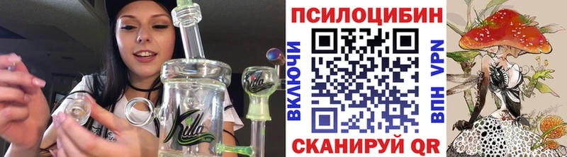 мега онион  купить закладку  Малаховка  Галлюциногенные грибы Psilocybine cubensis 